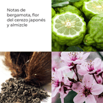 CDIMEX_0004_738782-4.png
