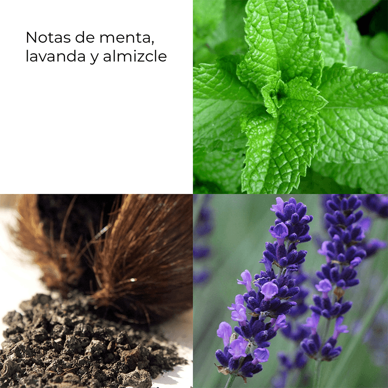CDIMEX_0008_738781-4.png