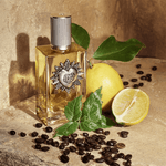 Diffupar_0001_739289-Dolce-Gabbana--4-.png