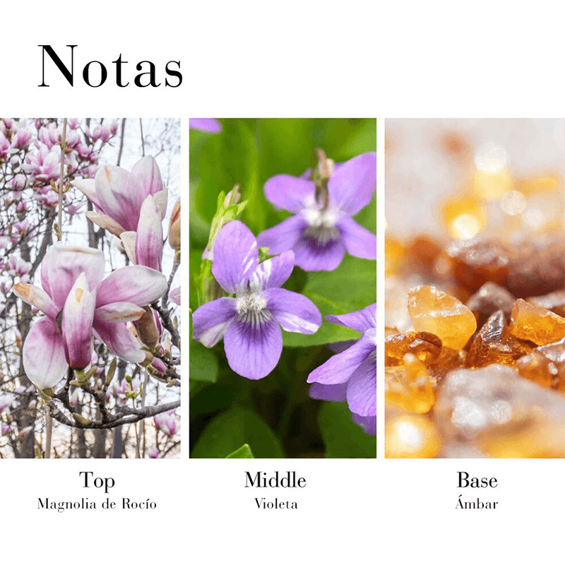 Faltantes-Parte2-_0034_735598-5