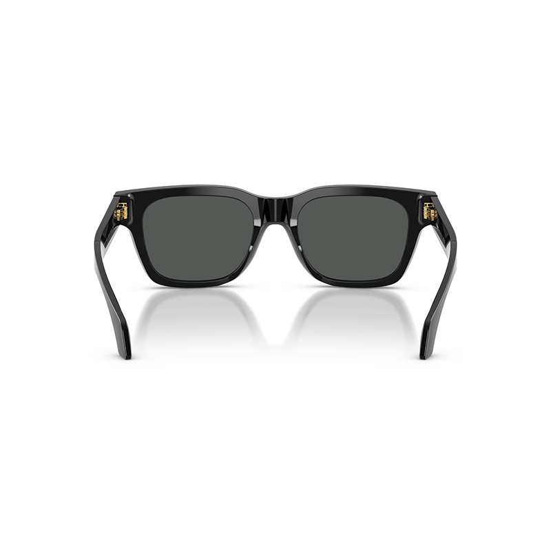 Luxotica_0083_742410--4-