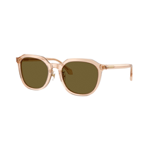 Lentes de Sol Versace Marrón 0VE4493D