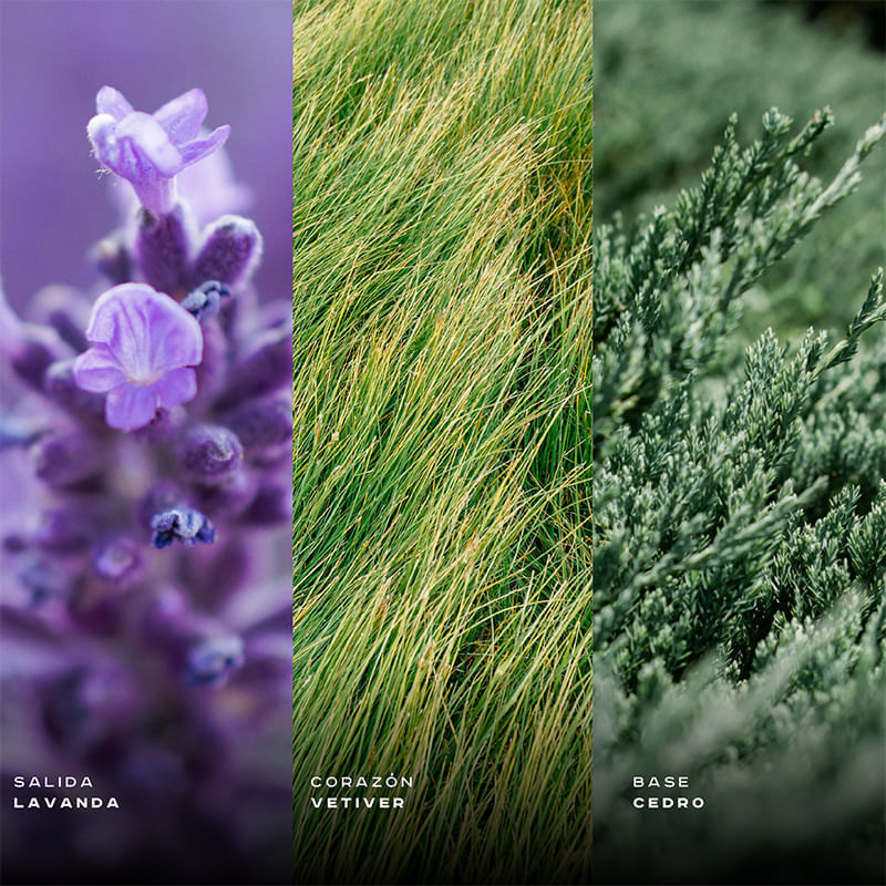 ShopGallery  0031 735579